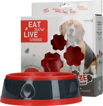 Køb Eat Slow Live Longer Amaze Flower Hundeskål - Rød - Medium online billigt tilbud rabat legetøj