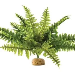 Køb Exo Terra Boston Fern Kunstig Plante - Medium - 31cm online billigt tilbud rabat legetøj