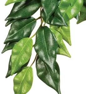 Køb Exo Terra Ficus Kunstig Plante - Large - 70cm online billigt tilbud rabat legetøj