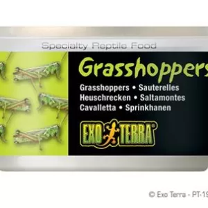 Køb ExoTerra Græshopper 34g online billigt tilbud rabat legetøj