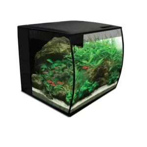 Køb Fluval Flex Akvarie - Med LED - 34l - Sort online billigt tilbud rabat legetøj