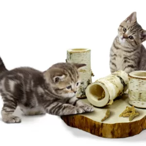 Køb JR Farm Katte "Back to Instinct" Forlystelsespark online billigt tilbud rabat legetøj