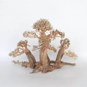 Køb Naturligt Bonsai Træ 20x15cm online billigt tilbud rabat legetøj