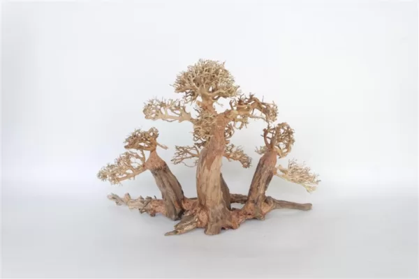 Køb Naturligt Bonsai Træ 40x25x20cm online billigt tilbud rabat legetøj