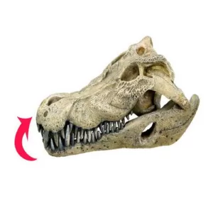 Køb Nobby Akvarie Dekorations Krokodillekranium - 26x14x9cm online billigt tilbud rabat legetøj