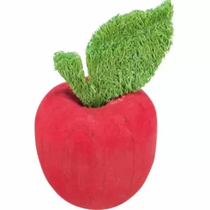 Køb Trixie Æble Gnaverlegetøj i Træ & Luffa - Ø5