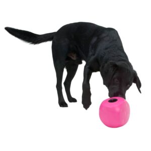 Buster Hunde Aktivitetslegetøj Food Cube, Sort, Large