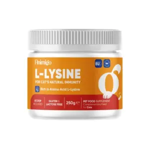 L-Lysin Pulver