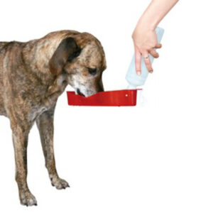 Trixie Dog on Tour Hunde Drikkeflaske - 700ml