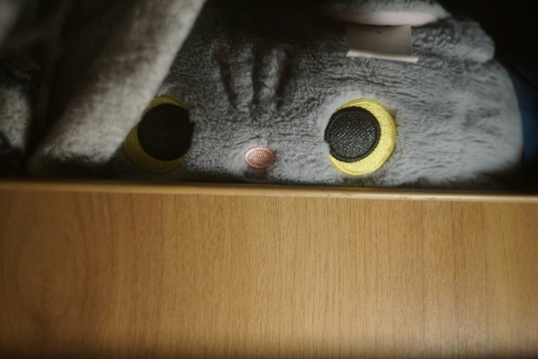 Populært kattelegetøj: Sjove og interaktive muligheder