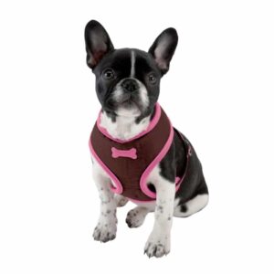BOBBY Arlequin Softsele - Small - Sort