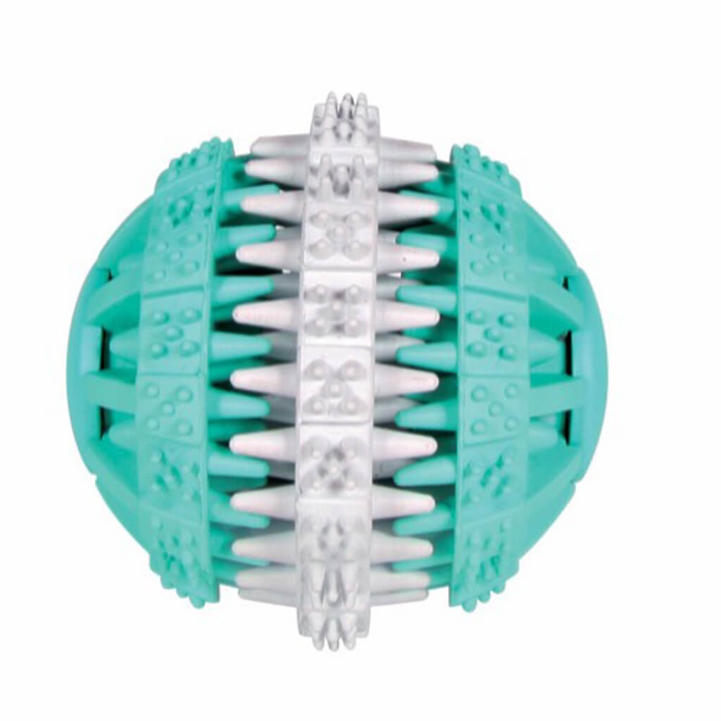 Denta Fun Mint Fresh tandrenser Ø 6cm