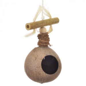Fuglelegetøj Coconut Treasure Hunt