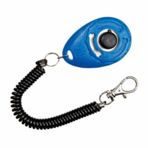 Karlie Speed Clicker - Sort