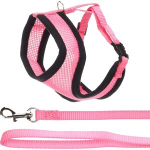 Killingesele med line, Pink