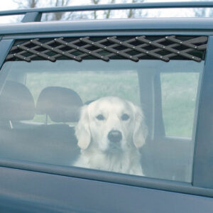 Ventilationsgitter til bilen