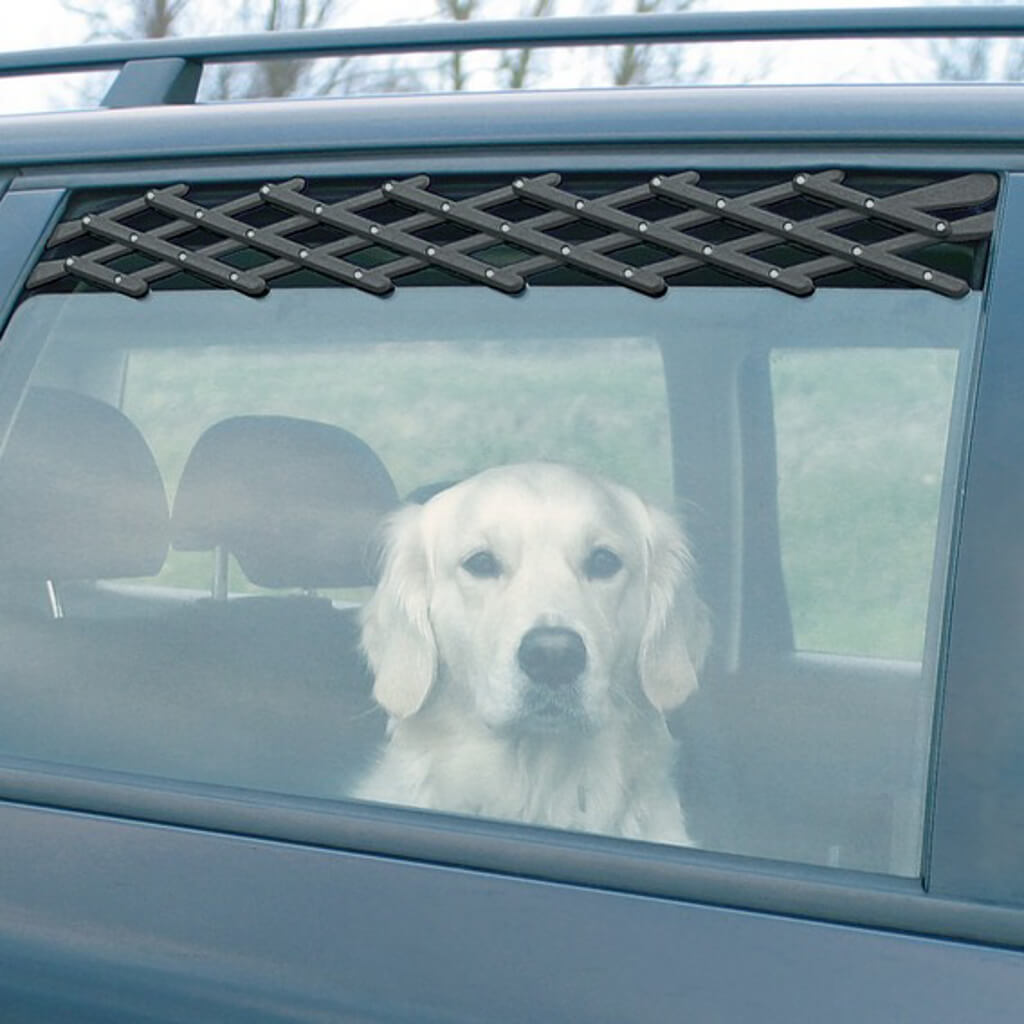 Ventilationsgitter til bilen