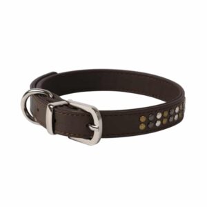 WOUAPY Hundehalsbånd med Nitter - Sort